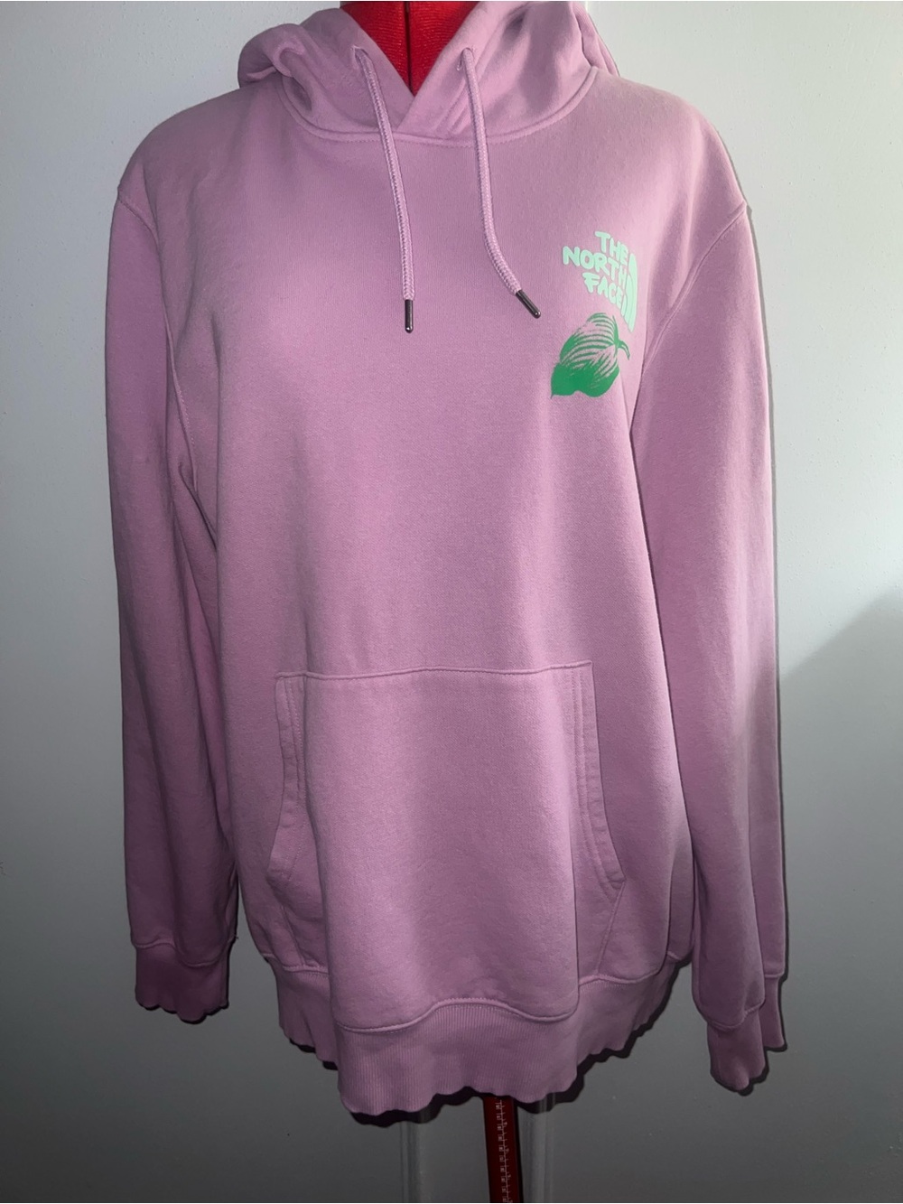 The North Face Outdoors Together Soft Pink Hoodie with Mint Green Logo Large
